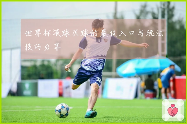 世界杯滚球买球的最佳入口与玩法技巧分享