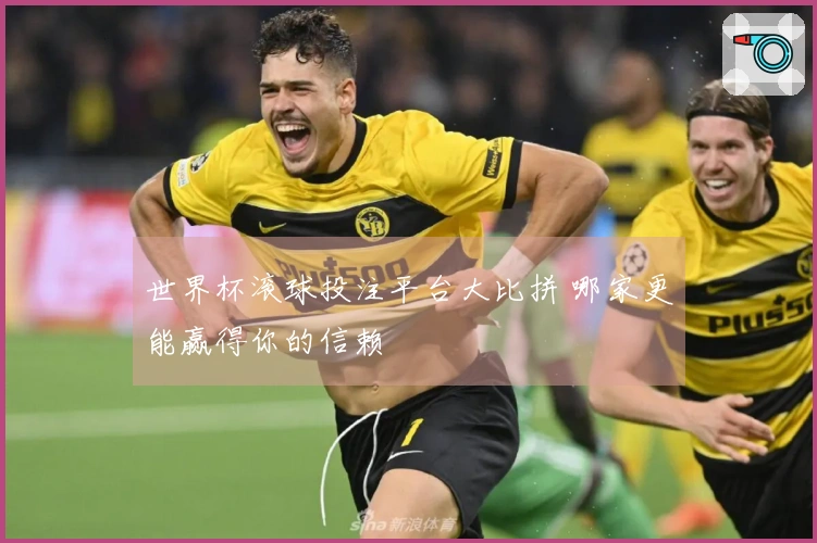 世界杯滚球投注平台大比拼 哪家更能赢得你的信赖