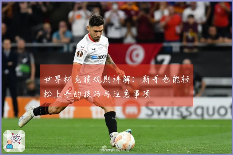 世界杯竞猜规则详解：新手也能轻松上手的技巧与注意事项