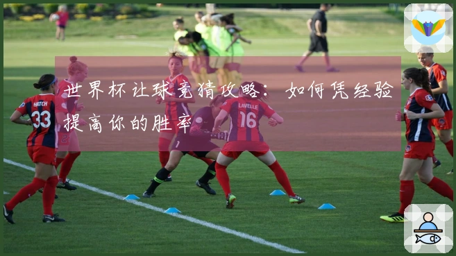 世界杯让球竞猜攻略：如何凭经验提高你的胜率